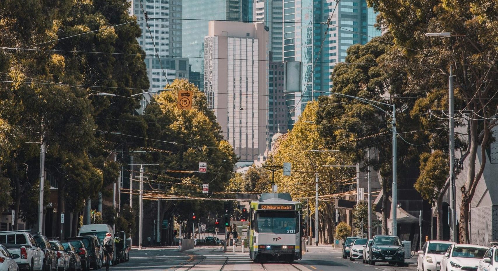 A streetscape in Melbourne, with a tram on a tree-lined street
