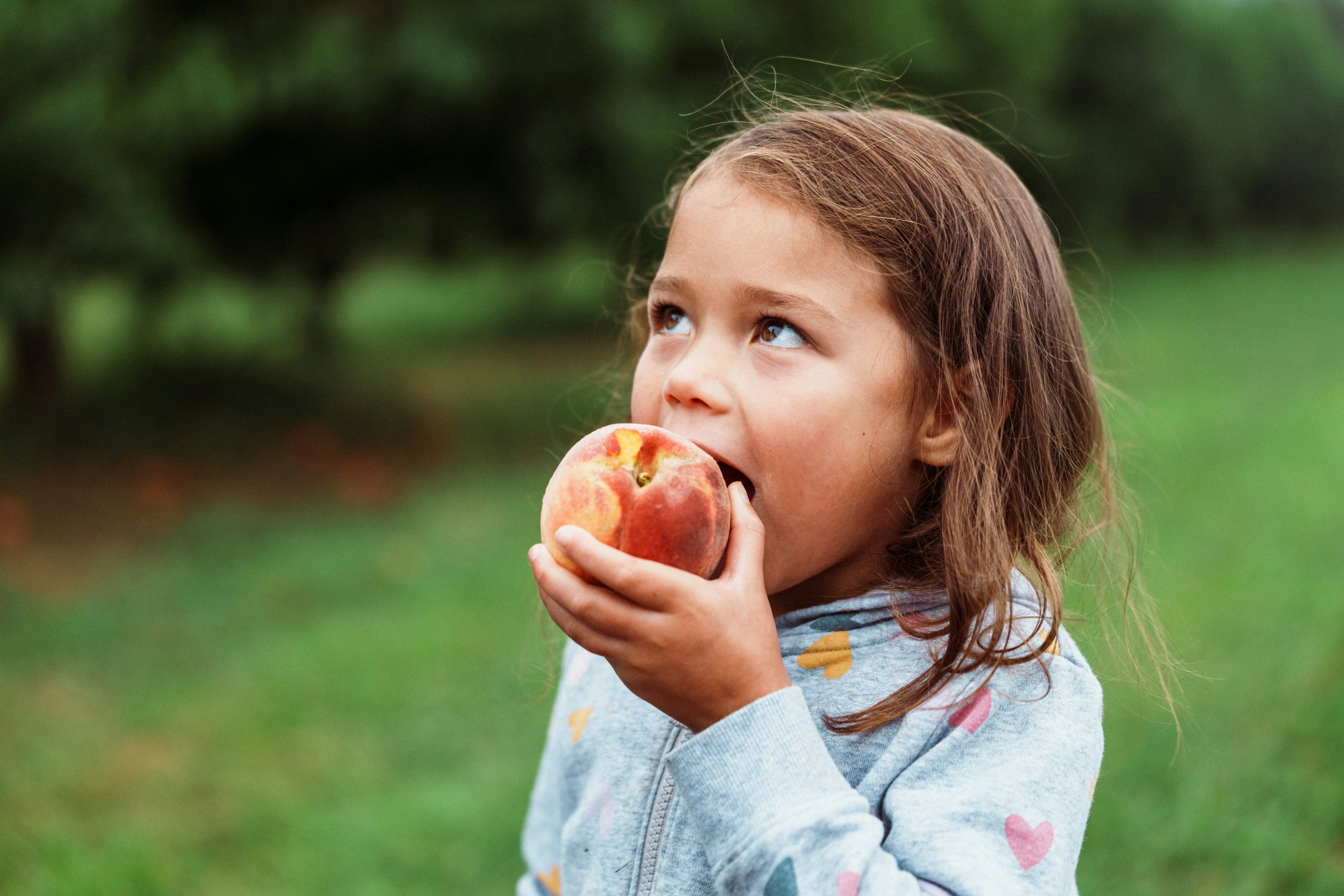 A little girl eats a peach outside in a garden